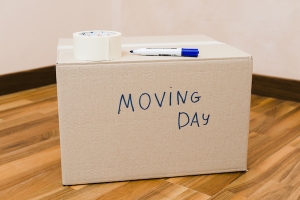 Are you ready for moving day?